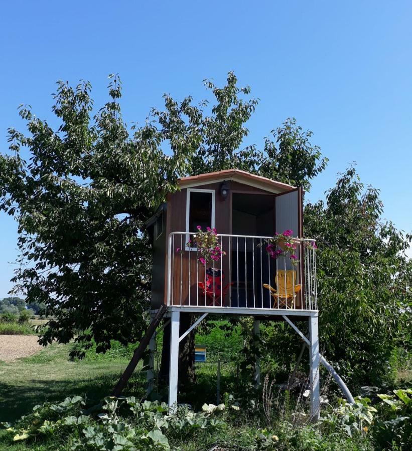 Willa Casa Bassetto Longare Zewnętrze zdjęcie